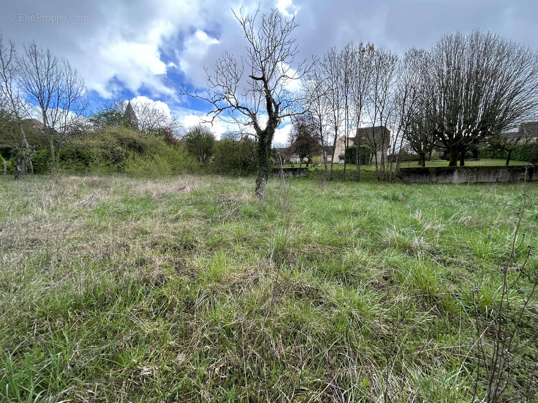 Terrain à LABASTIDE-MURAT