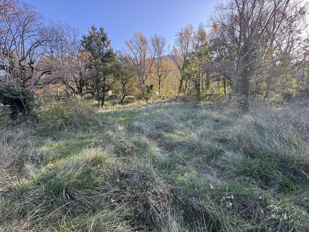 Terrain à BUIS-LES-BARONNIES