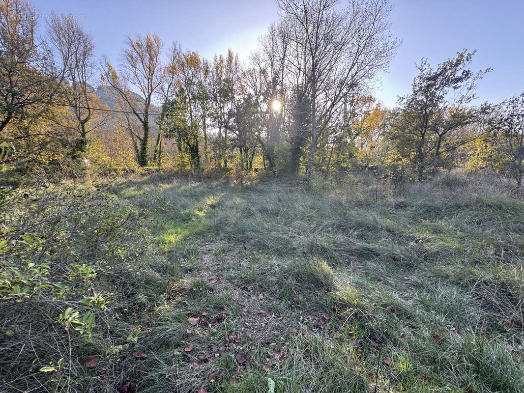 Terrain à BUIS-LES-BARONNIES