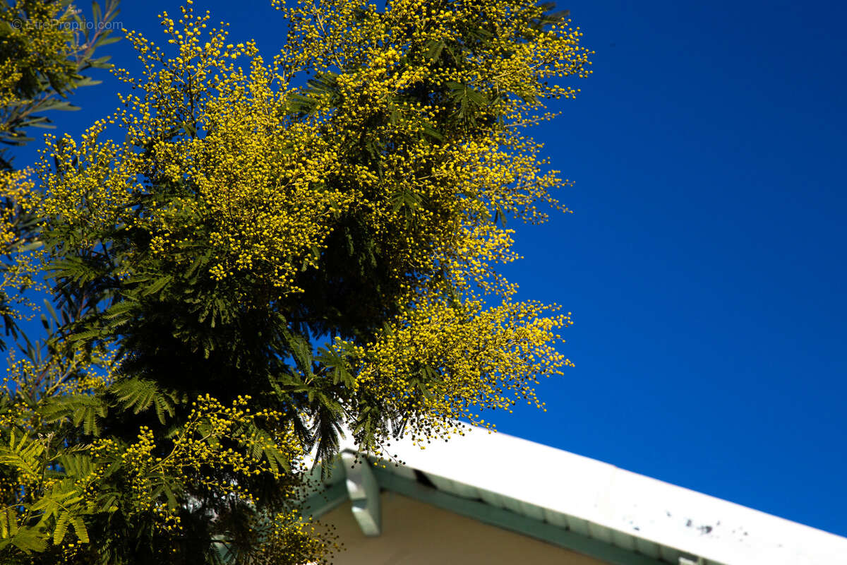 Maison à NICE