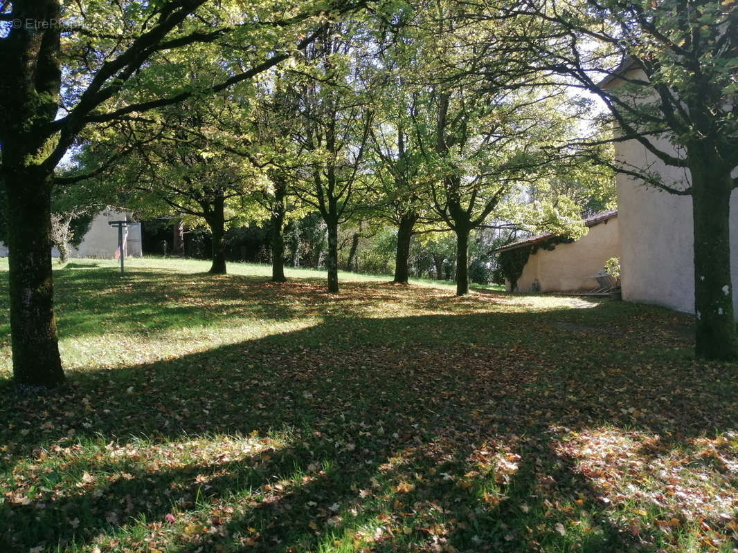 Maison à MONTMOREAU-SAINT-CYBARD