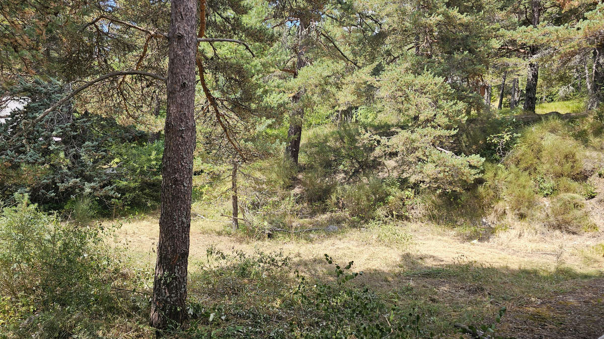 Terrain à CAILLE