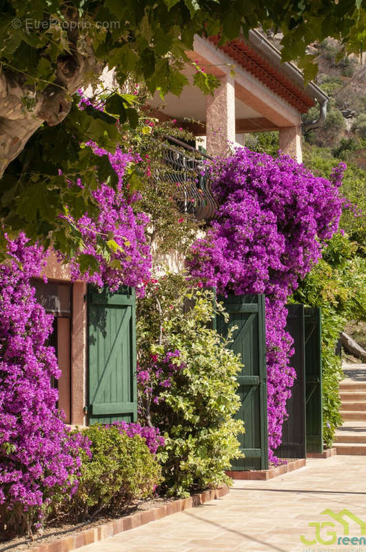 Maison à LE LAVANDOU