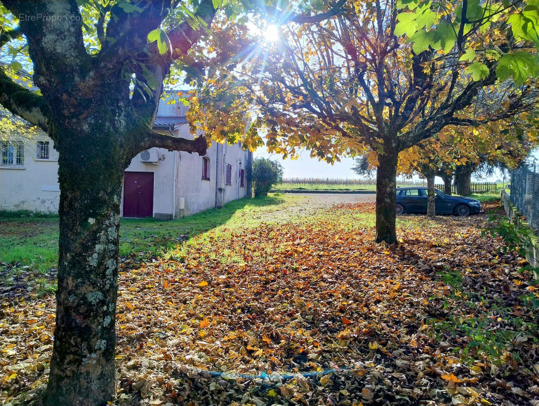 Appartement à RAUZAN