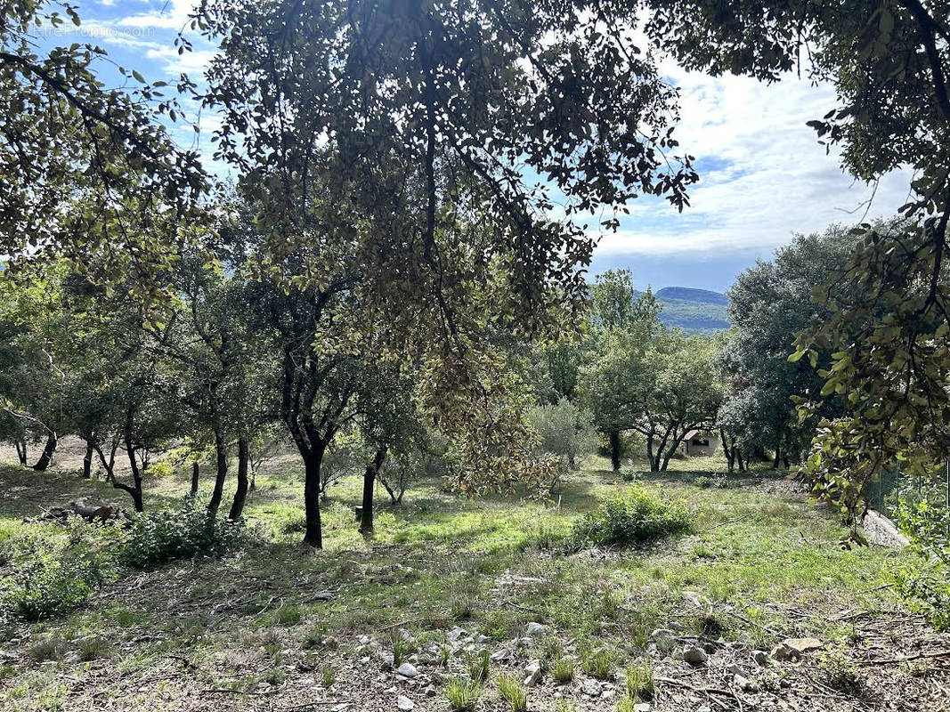 Terrain à MOULES-ET-BAUCELS