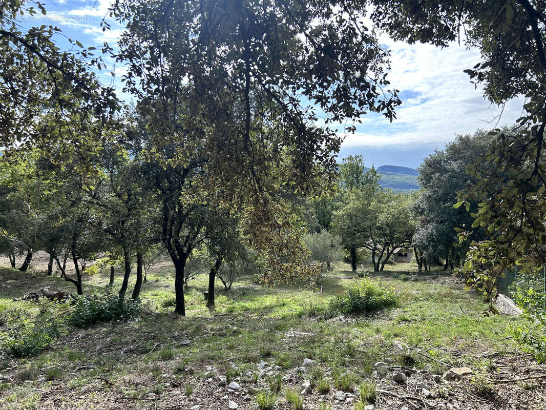 Terrain à MOULES-ET-BAUCELS