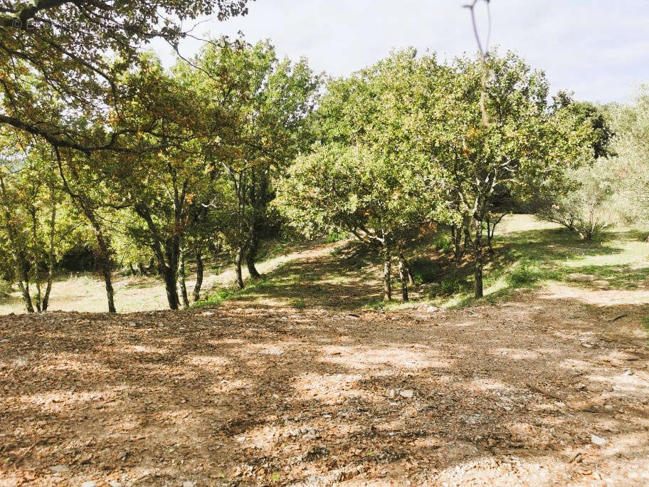 Terrain à MOULES-ET-BAUCELS