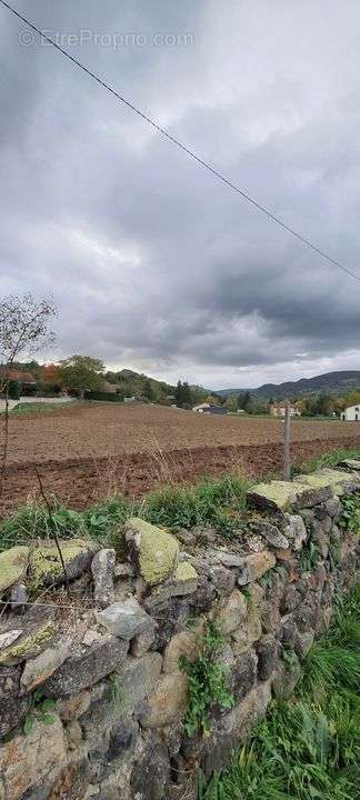 Terrain à YSSINGEAUX