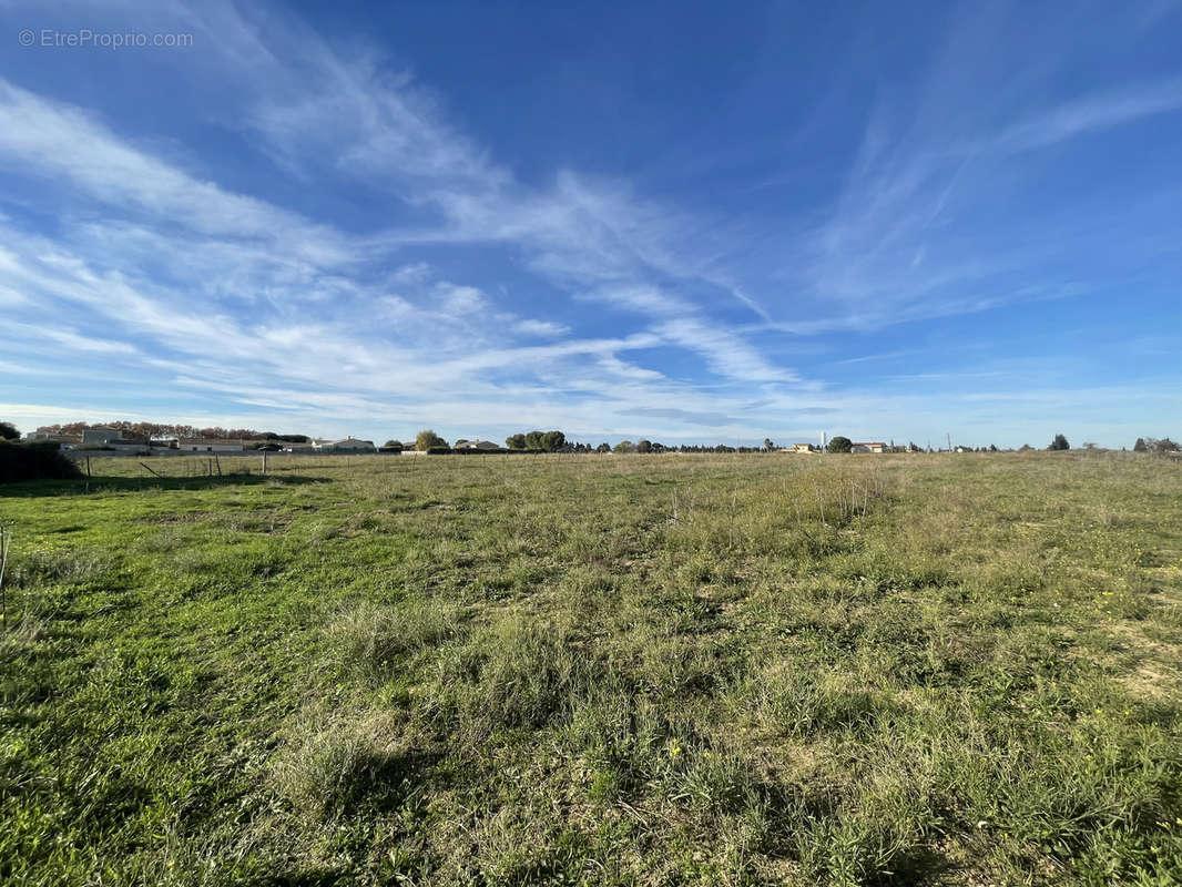 Terrain à AIMARGUES