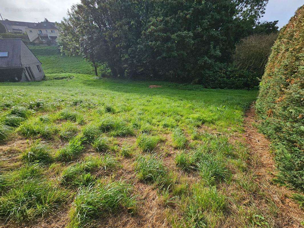 Terrain à LANNION