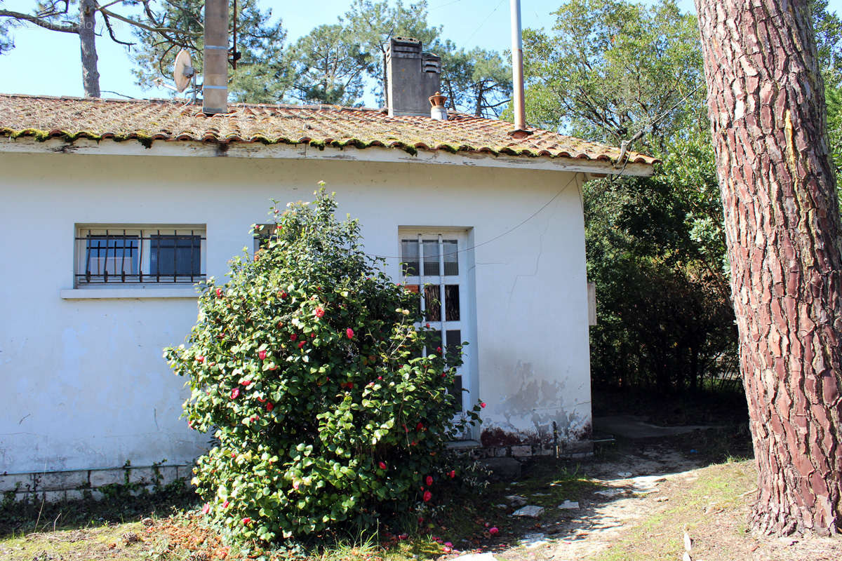 Maison à LEGE-CAP-FERRET