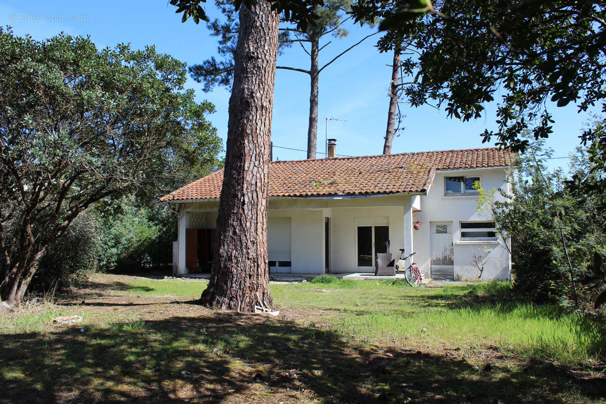 Maison à LEGE-CAP-FERRET