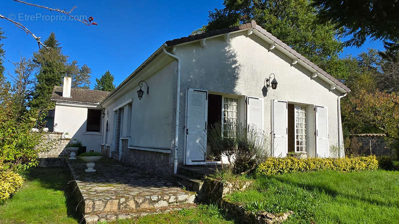 Maison à SAINT-BRICE-SUR-VIENNE