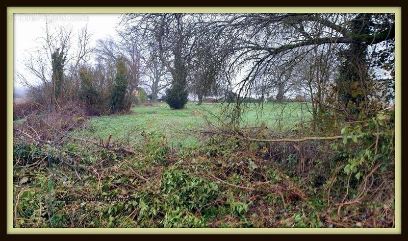 Terrain à BERNAY-VILBERT