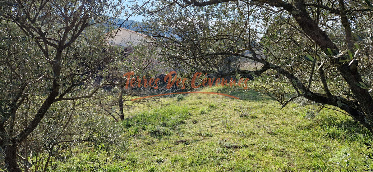 Terrain à ANDUZE