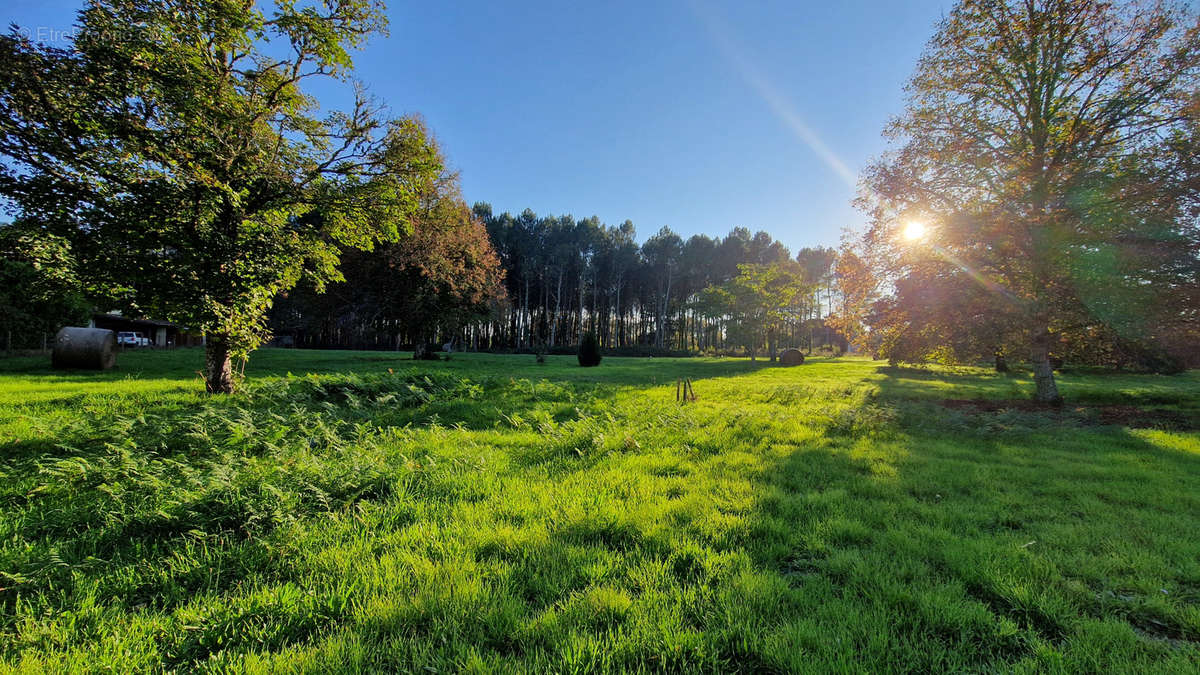 Terrain à UZESTE