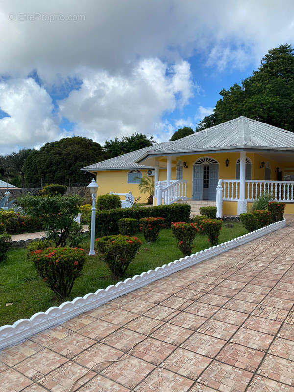 Maison à CAYENNE