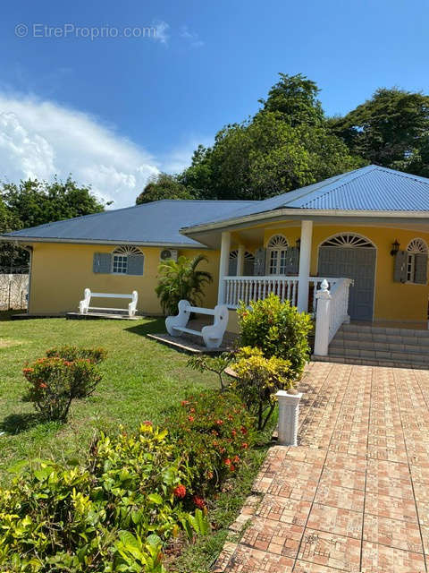 Maison à CAYENNE