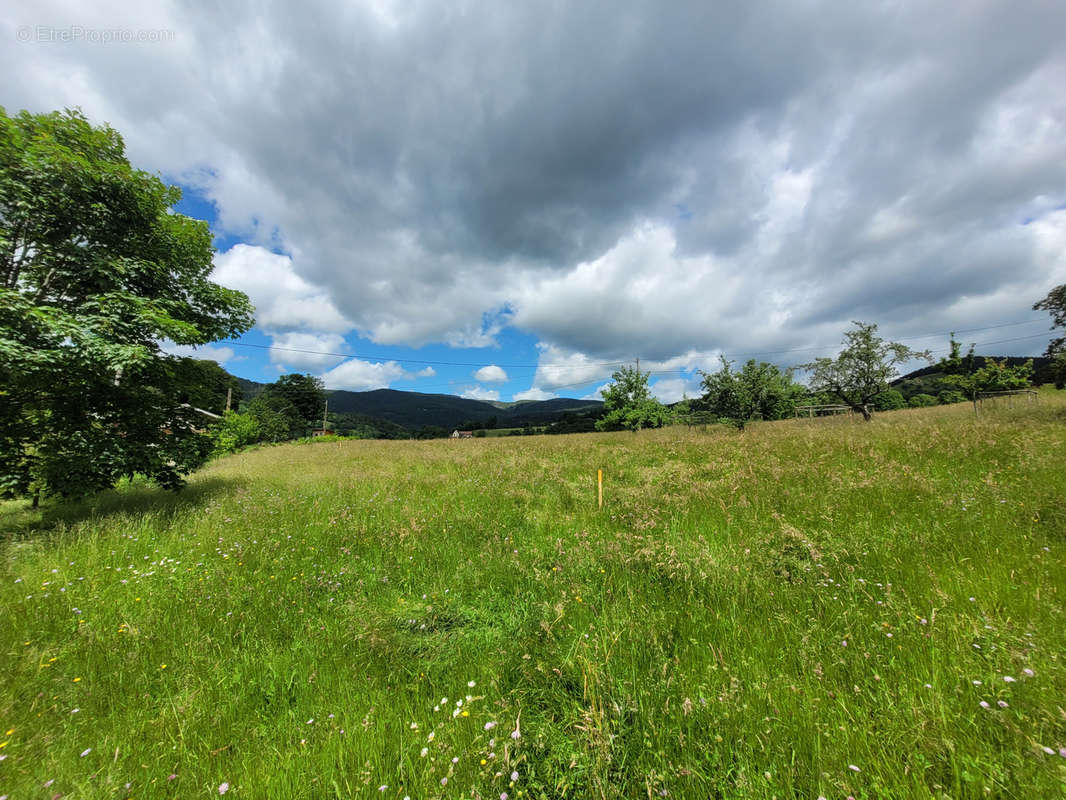 Terrain à SOULTZEREN