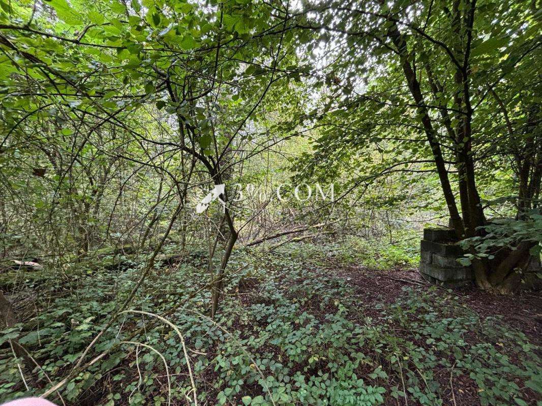 Terrain à PERONNE