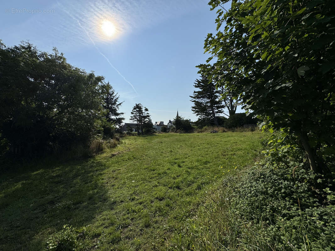 Terrain à GOULIEN