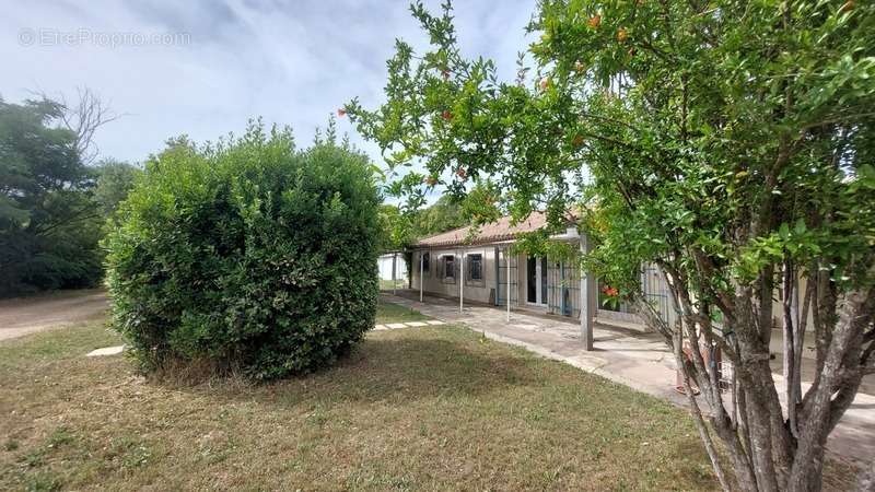 Maison à BEAUCAIRE