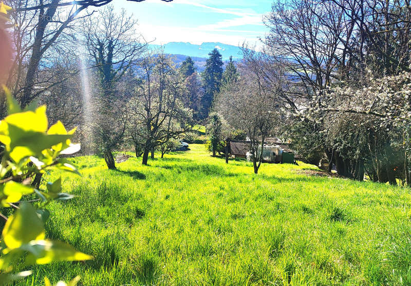 Terrain à MONNETIER-MORNEX