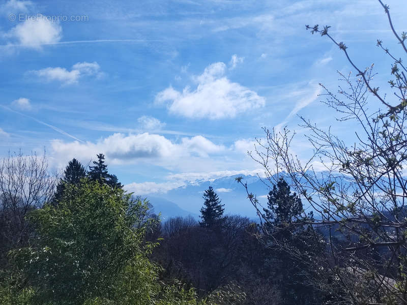 Terrain à MONNETIER-MORNEX