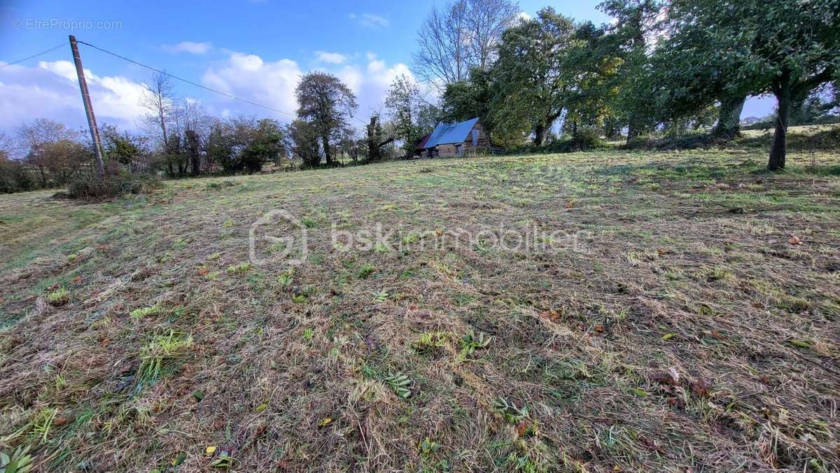 Appartement à CAMPAGNOLLES