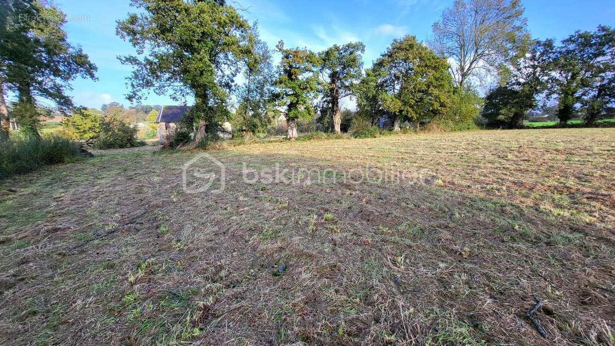 Appartement à CAMPAGNOLLES