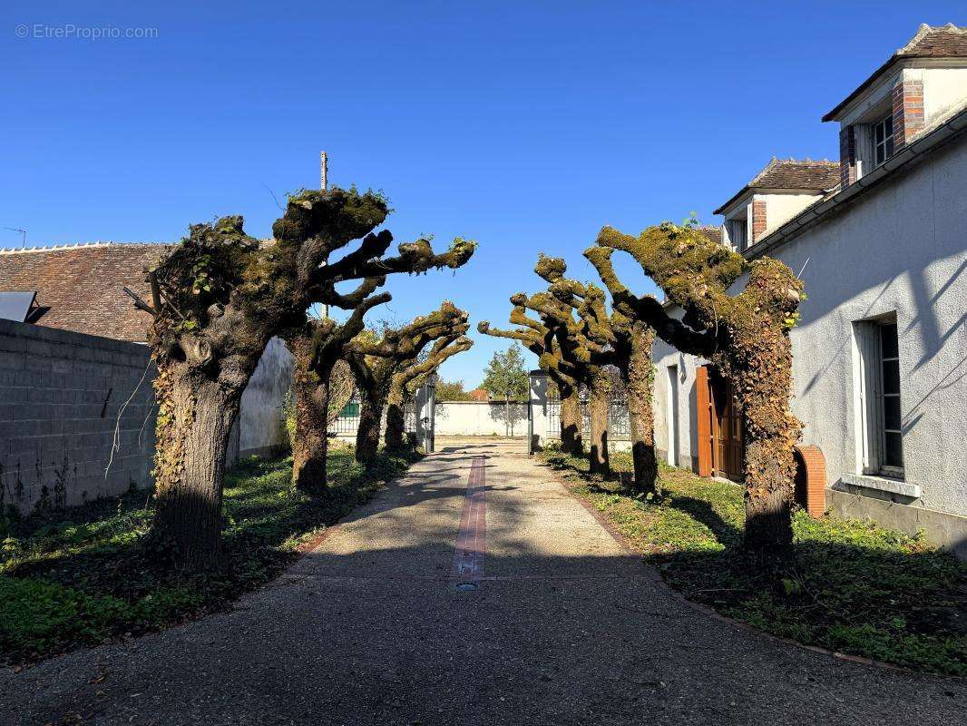 Maison à APPOIGNY