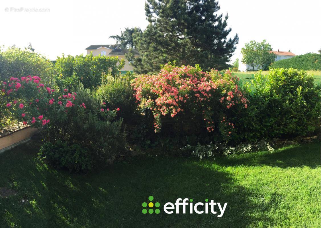 Appartement à MARCY-L&#039;ETOILE