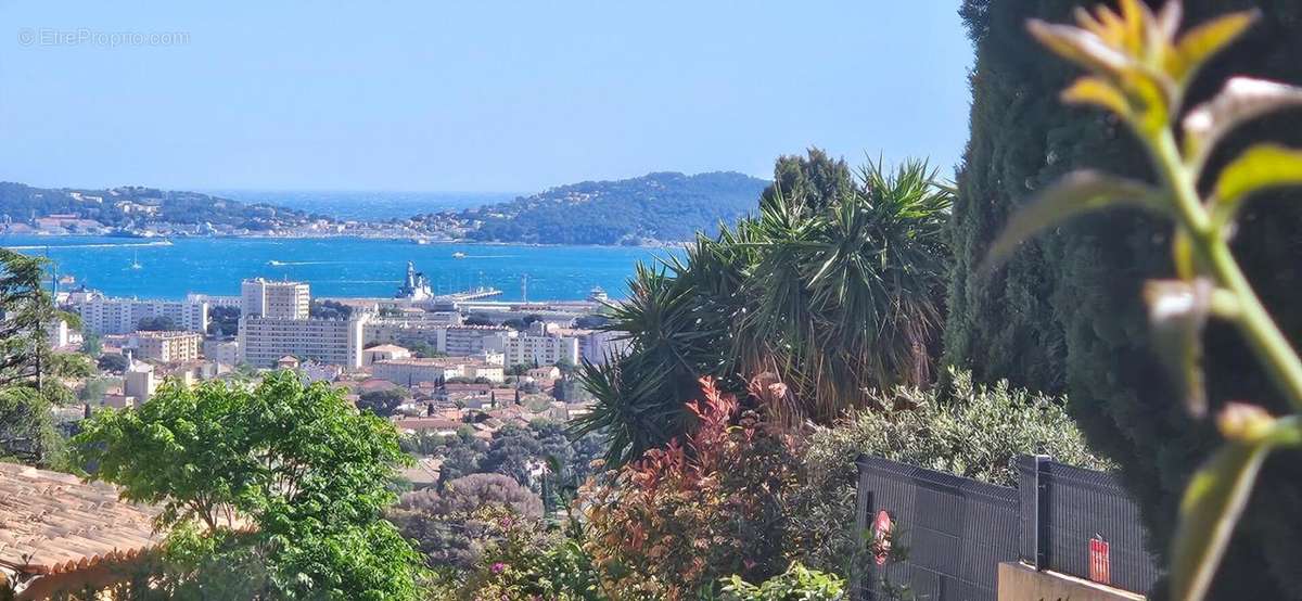 Maison à TOULON