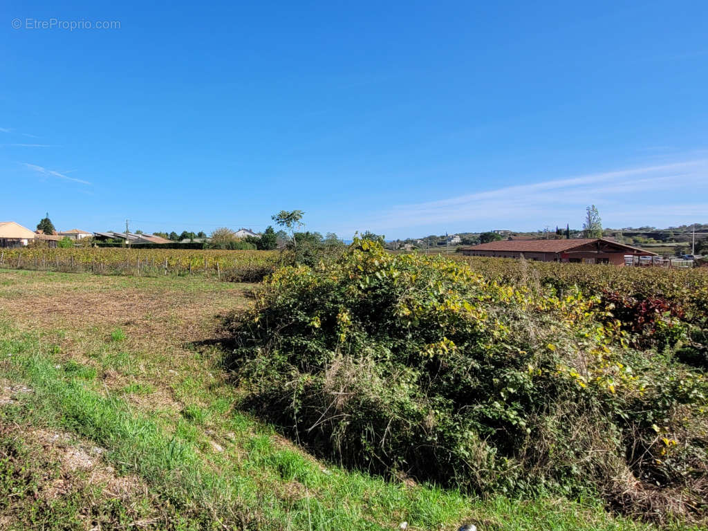 Terrain à JOYEUSE