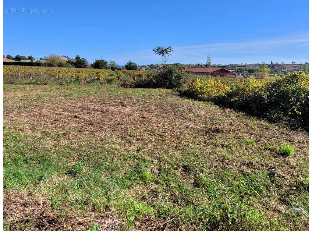 Terrain à JOYEUSE