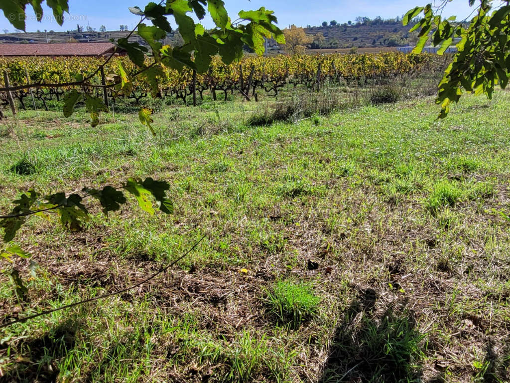 Terrain à JOYEUSE