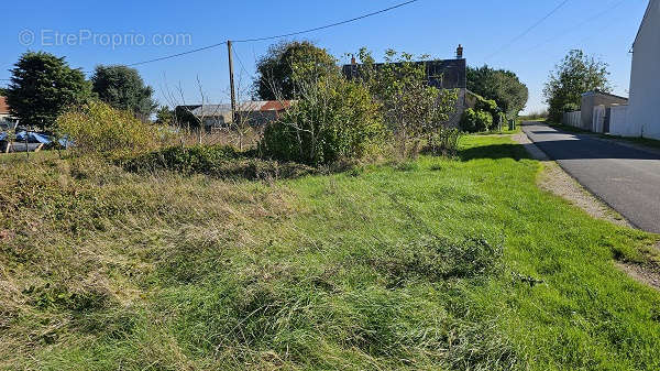 Terrain à VILLERMAIN