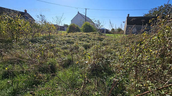 Terrain à VILLERMAIN