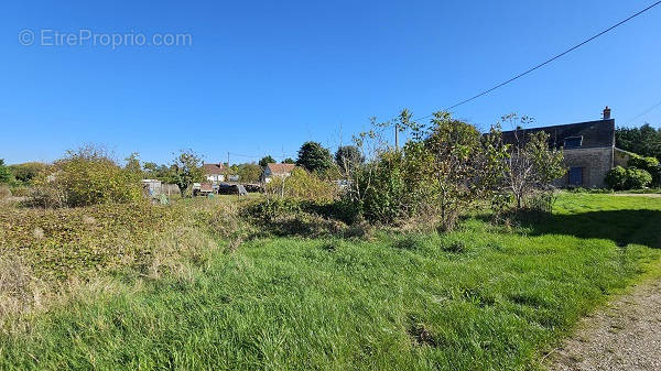 Terrain à VILLERMAIN