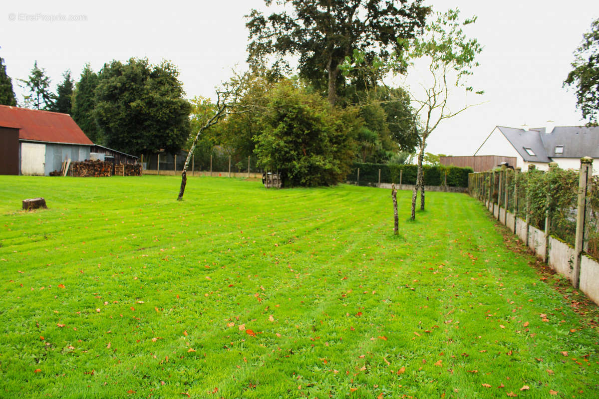 Terrain à DOMALAIN