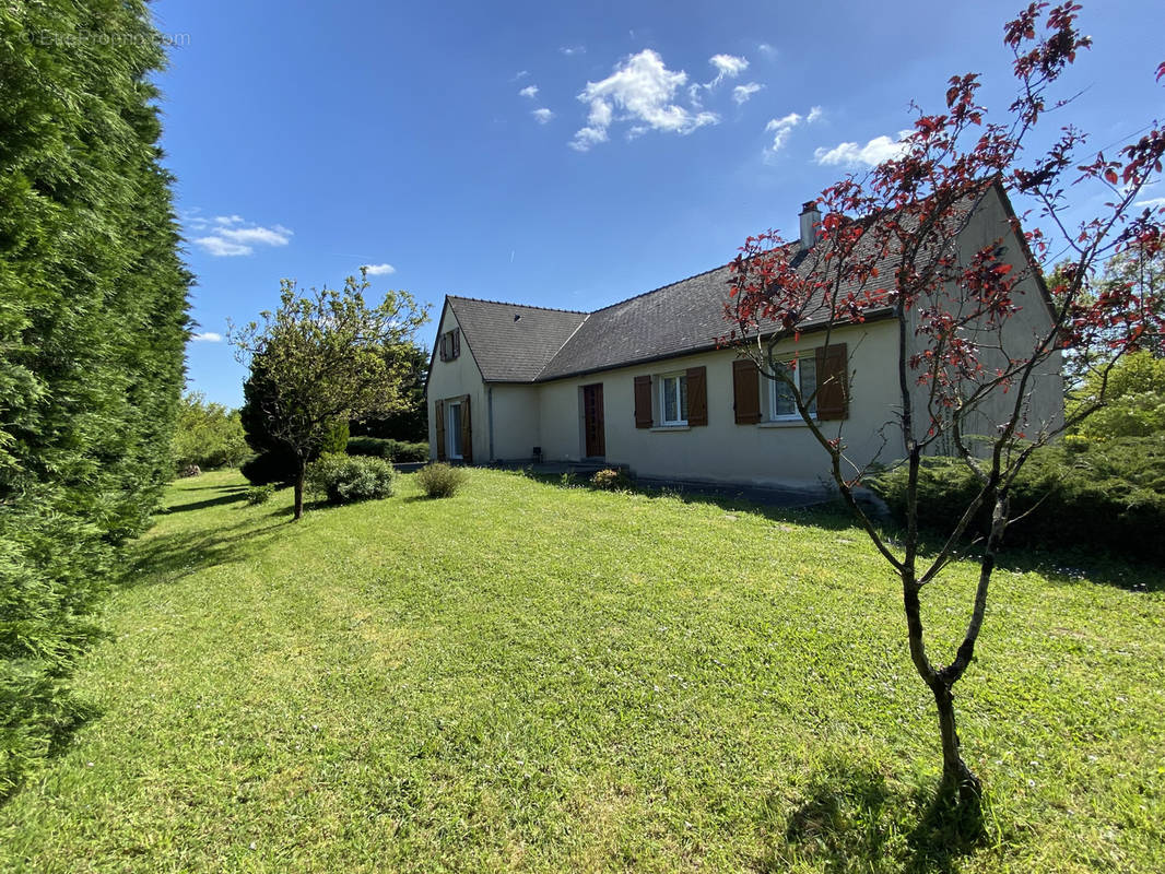 Maison à SAINT-AUGUSTIN-DES-BOIS