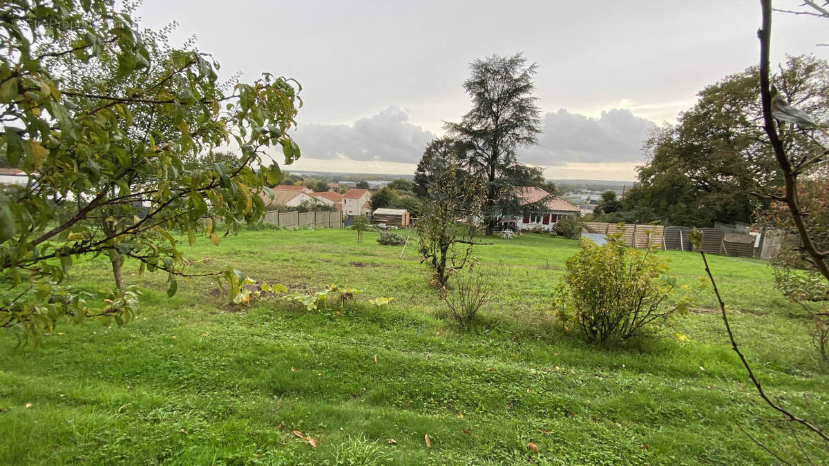 Terrain à LES HERBIERS