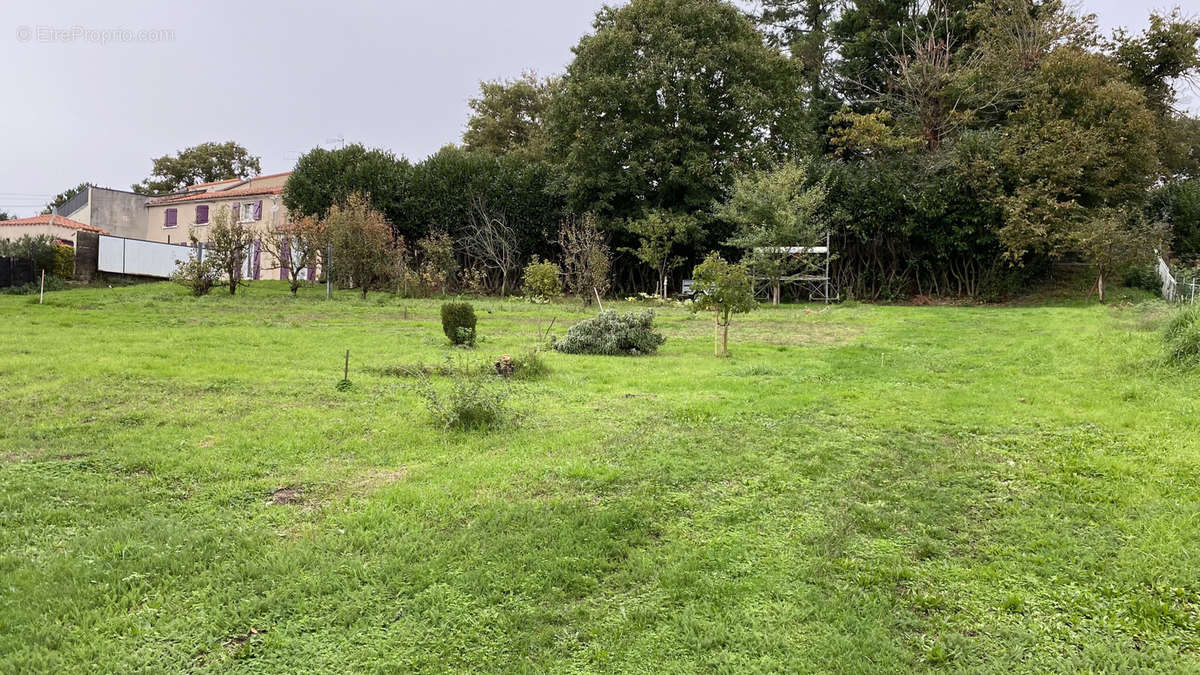 Terrain à LES HERBIERS