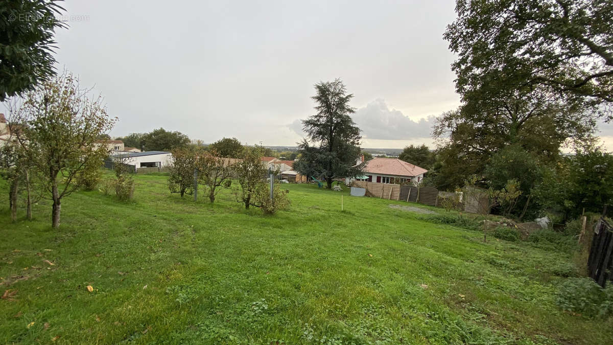 Terrain à LES HERBIERS