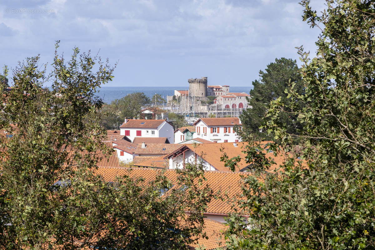 Appartement à CIBOURE