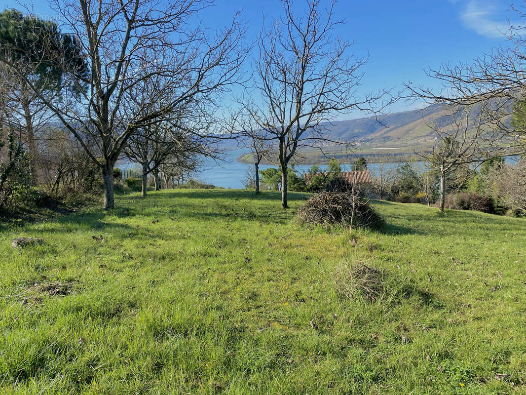 Terrain à SAINT-VALLIER