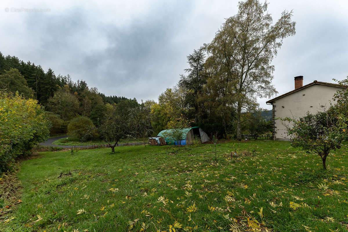 Maison à SAINT-BONNET-LE-CHASTEL