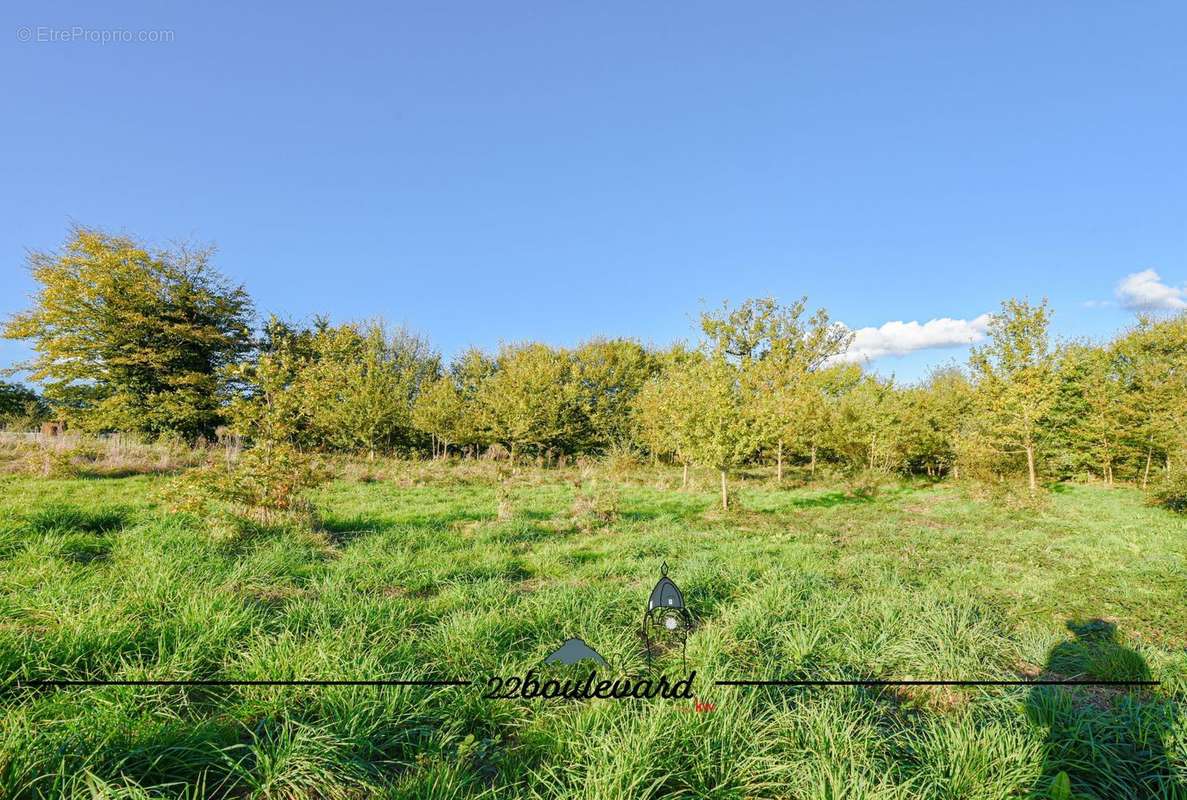 Terrain à SAINT-BONNET-BRIANCE