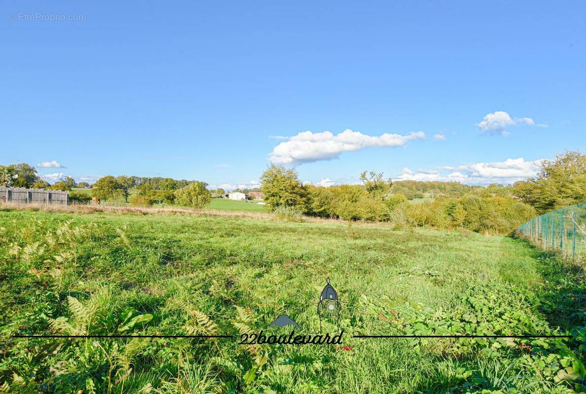 Terrain à SAINT-BONNET-BRIANCE