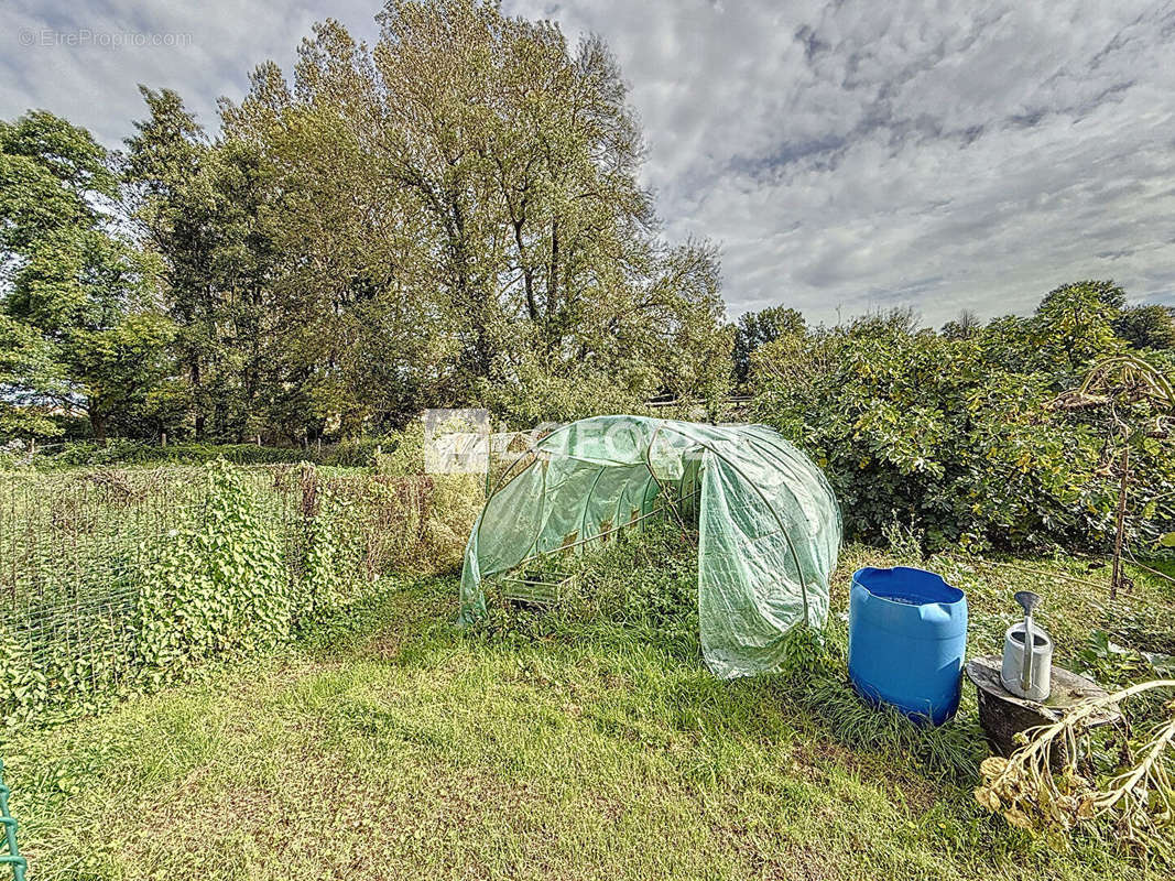 Terrain à SAINT-DIDIER-DE-FORMANS